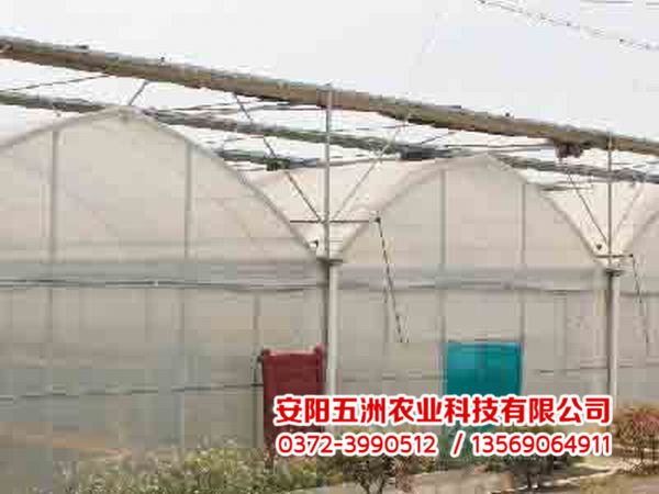 連棟大棚 連棟大棚